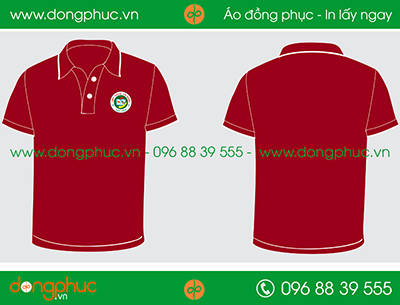 Áo phông đồng phục Trường PTTH Trần Thị Dung