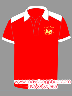 May áo Lớp A6 Trường THPT Lê Hồng Phong - Stronger Together