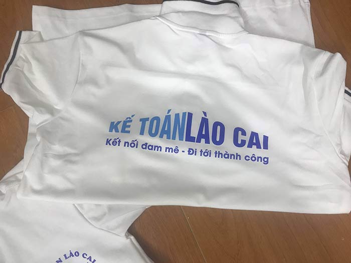 May áo phông Công ty Kế toán Lào Cai - mẫu 2