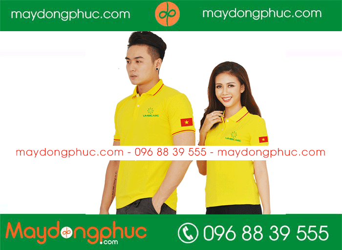 May áo phông Công ty LIMBICARC